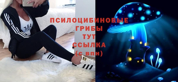 ПСИЛОЦИБИНОВЫЕ ГРИБЫ Белокуриха