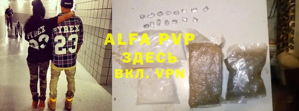 ПСИЛОЦИБИНОВЫЕ ГРИБЫ Белокуриха