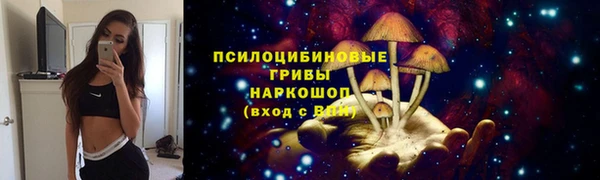 спайс Беломорск