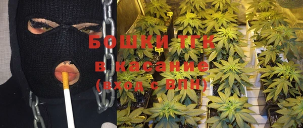 ПСИЛОЦИБИНОВЫЕ ГРИБЫ Белокуриха