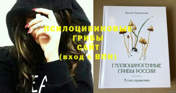 ПСИЛОЦИБИНОВЫЕ ГРИБЫ Белокуриха