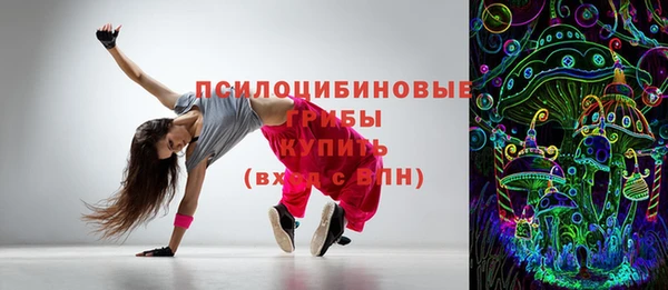 дживик Семилуки