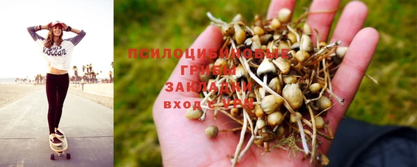 ПСИЛОЦИБИНОВЫЕ ГРИБЫ Белокуриха